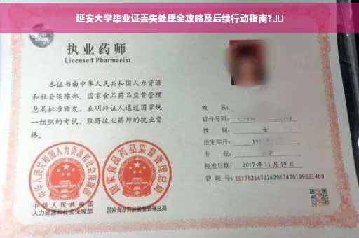 延安大学毕业证丢失处理全攻略及后续行动指南?⚡️