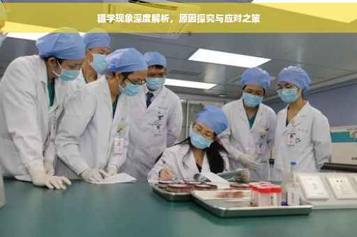 辍学现象深度解析，原因探究与应对之策