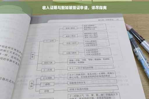 收入证明与新加坡签证申请，详尽指南