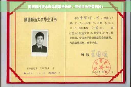 网商银行流水账单调取全攻略，警惕违法犯罪风险！