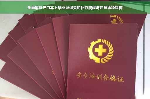 全面解析户口本上毕业证遗失的补办流程与注意事项指南