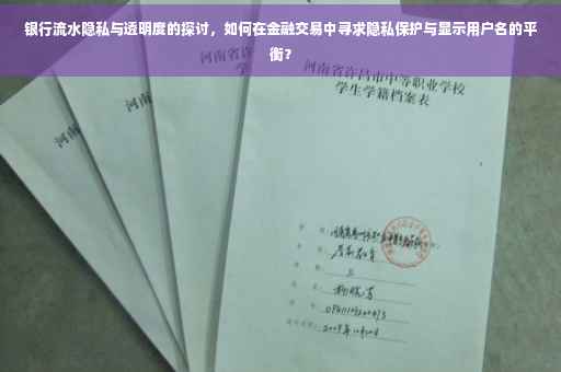 银行流水隐私与透明度的探讨，如何在金融交易中寻求隐私保护与显示用户名的平衡？