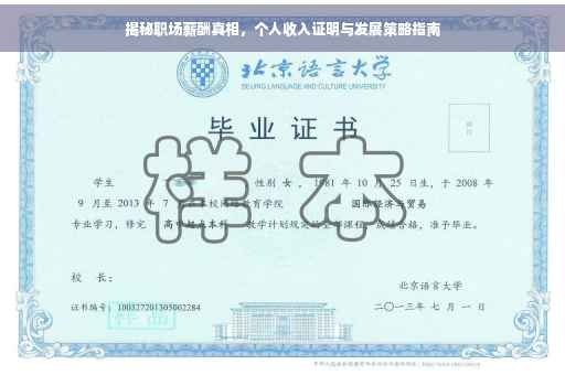 揭秘职场薪酬真相，个人收入证明与发展策略指南