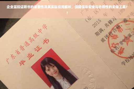 企业监控证明书的重要性及其实际应用解析，保障信息安全与合规性的关键工具??