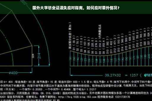国外大学毕业证遗失应对指南，如何应对意外情况？