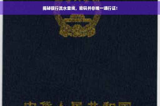 揭秘银行流水查询，密码并非唯一通行证！