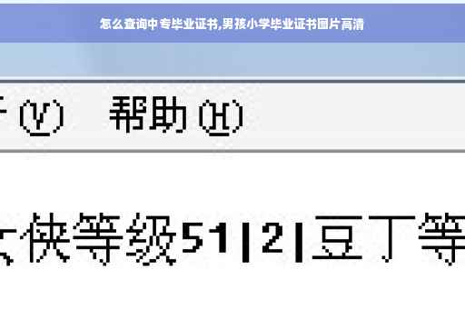 怎么查询中专毕业证书,男孩小学毕业证书图片高清