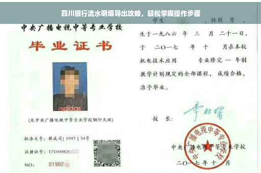 四川银行流水明细导出攻略，轻松掌握操作步骤