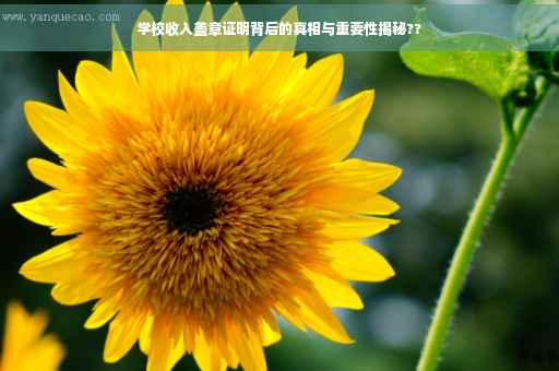 学校收入盖章证明背后的真相与重要性揭秘??