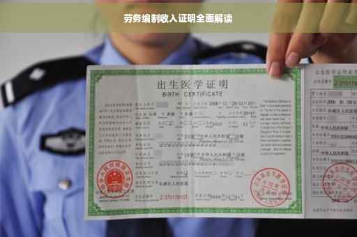 劳务编制收入证明全面解读