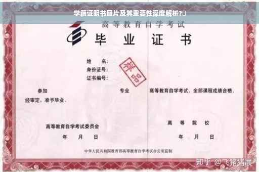 学籍证明书图片及其重要性深度解析?✨