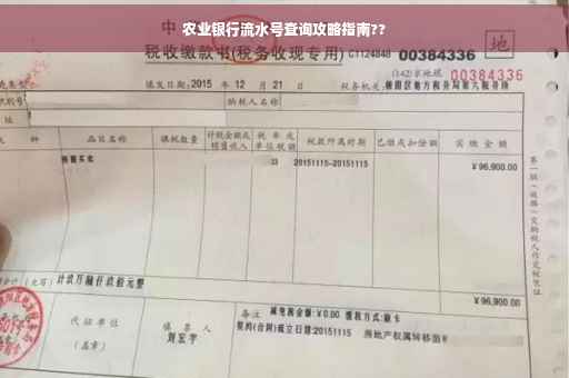 农业银行流水号查询攻略指南??