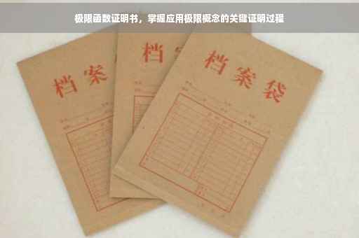 极限函数证明书，掌握应用极限概念的关键证明过程