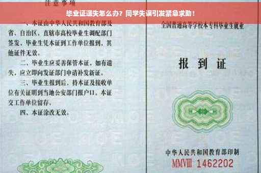 毕业证遗失怎么办？同学失误引发紧急求助！