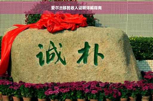 爱尔兰移民收入证明详解指南