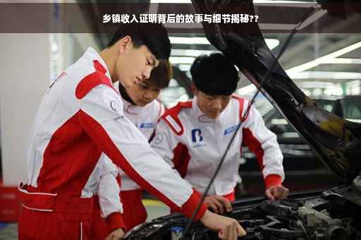 乡镇收入证明背后的故事与细节揭秘??