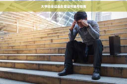 大学毕业证丢失查证书编号指南