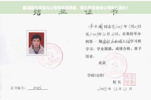 解读股东权益与公司财务透明度，股东能否查询公司银行流水？
