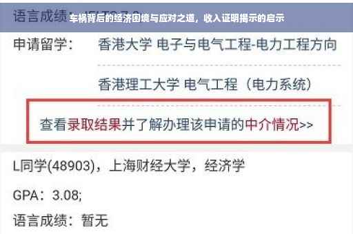 车祸背后的经济困境与应对之道，收入证明揭示的启示