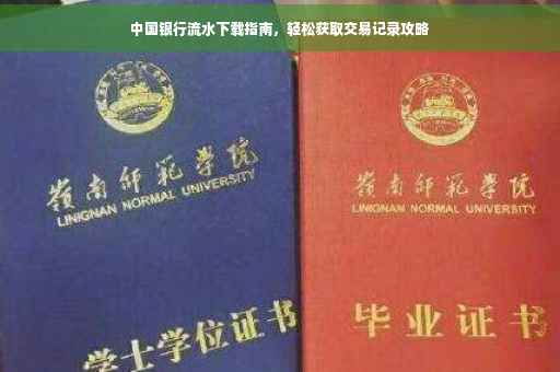 中国银行流水下载指南，轻松获取交易记录攻略