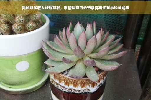 揭秘购房收入证明贷款，申请房贷的必备条件与注意事项全解析