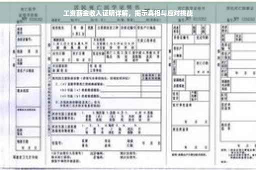 工资薪金收入证明详解，揭示真相与应对挑战