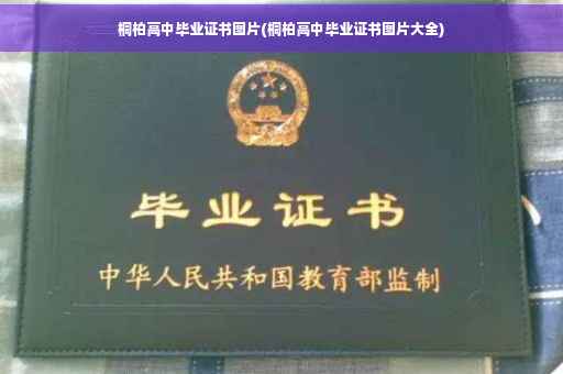 桐柏高中毕业证书图片(桐柏高中毕业证书图片大全)