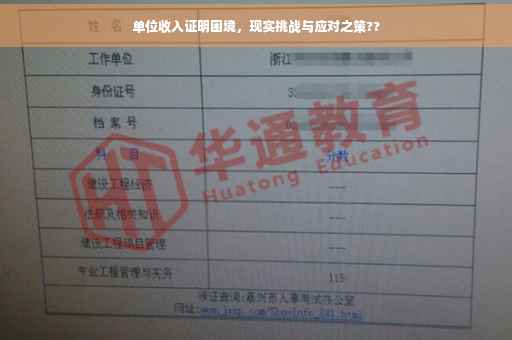 单位收入证明困境，现实挑战与应对之策??