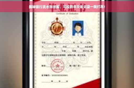 揭秘银行流水账详解，可拉数年交易记录一网打尽！