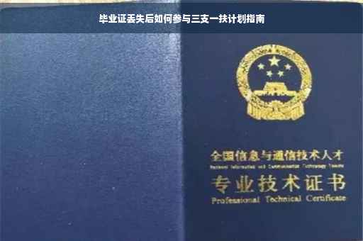毕业证丢失后如何参与三支一扶计划指南