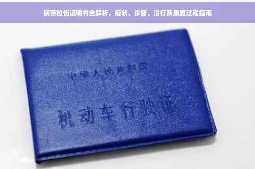 韧带拉伤证明书全解析，症状、诊断、治疗及康复过程指南