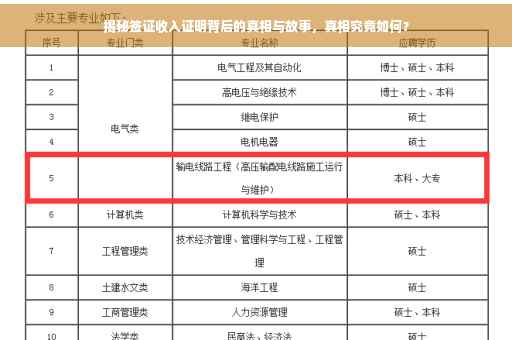 揭秘签证收入证明背后的真相与故事，真相究竟如何？