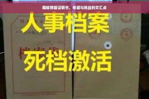 癌症晚期证明书，希望与挑战的交汇点