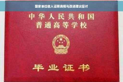 国家单位收入证明真相与改进建议探讨