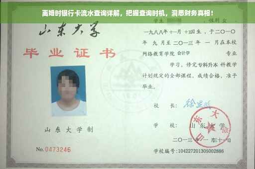 离婚时银行卡流水查询详解，把握查询时机，洞悉财务真相！