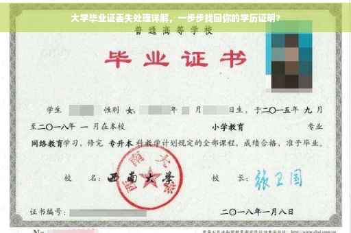 大学毕业证丢失处理详解，一步步找回你的学历证明?