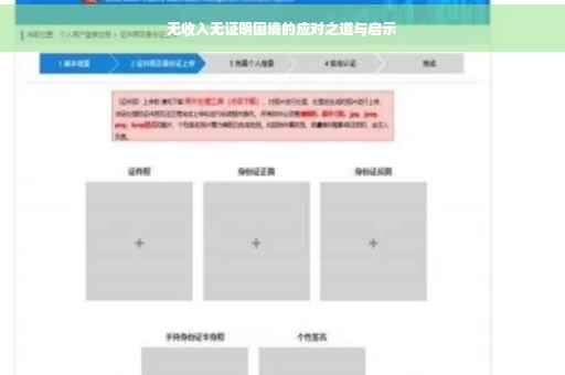 无收入无证明困境的应对之道与启示