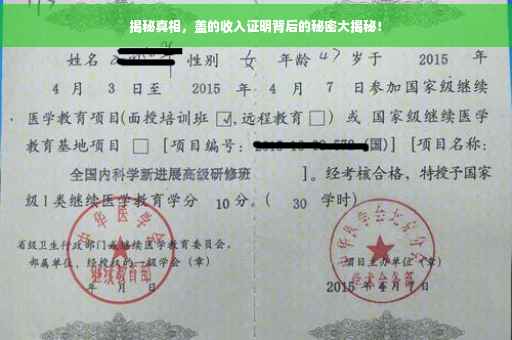 揭秘真相，盖的收入证明背后的秘密大揭秘！