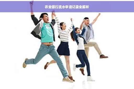 农业银行流水申请记录全解析