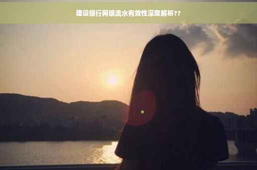 建设银行网银流水有效性深度解析??