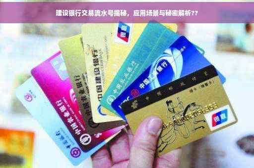 建设银行交易流水号揭秘，应用场景与秘密解析??