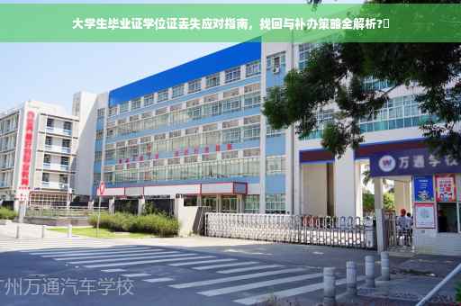 大学生毕业证学位证丢失应对指南，找回与补办策略全解析?✨
