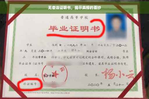 无牵连证明书，揭示真相的面纱