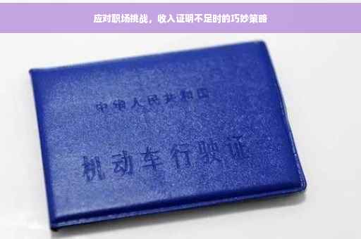 应对职场挑战，收入证明不足时的巧妙策略