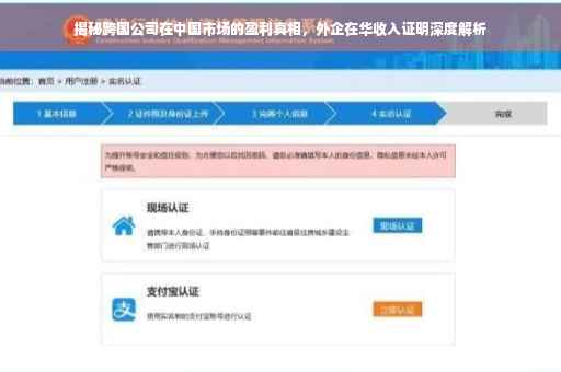 揭秘跨国公司在中国市场的盈利真相，外企在华收入证明深度解析