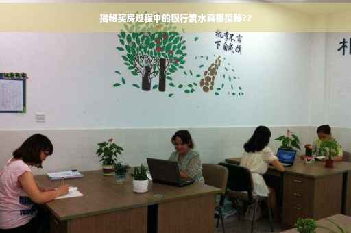 揭秘买房过程中的银行流水真相探秘??