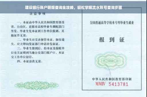 建设银行账户明细查询全攻略，轻松掌握流水账号查询步骤