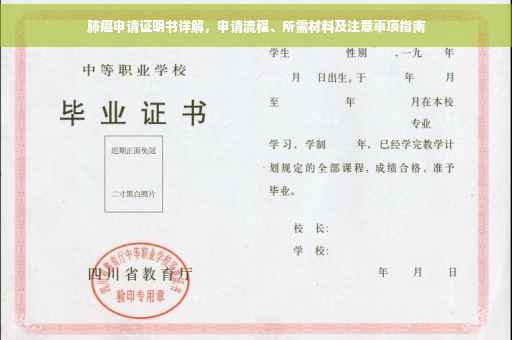 肺癌申请证明书详解，申请流程、所需材料及注意事项指南