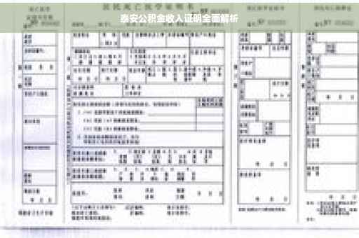 泰安公积金收入证明全面解析