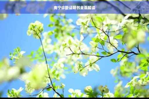 南宁诊断证明书全面解读